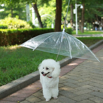PawBrella Leash