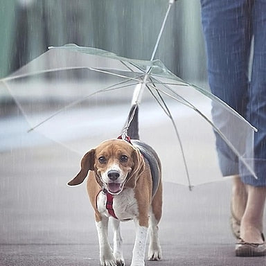 PawBrella Leash