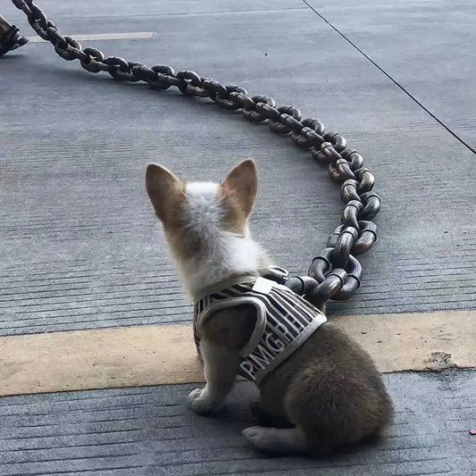 LittleBeast Chain